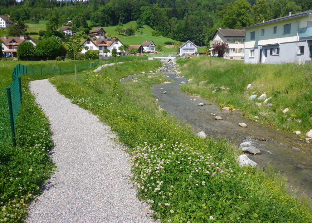 projectImage