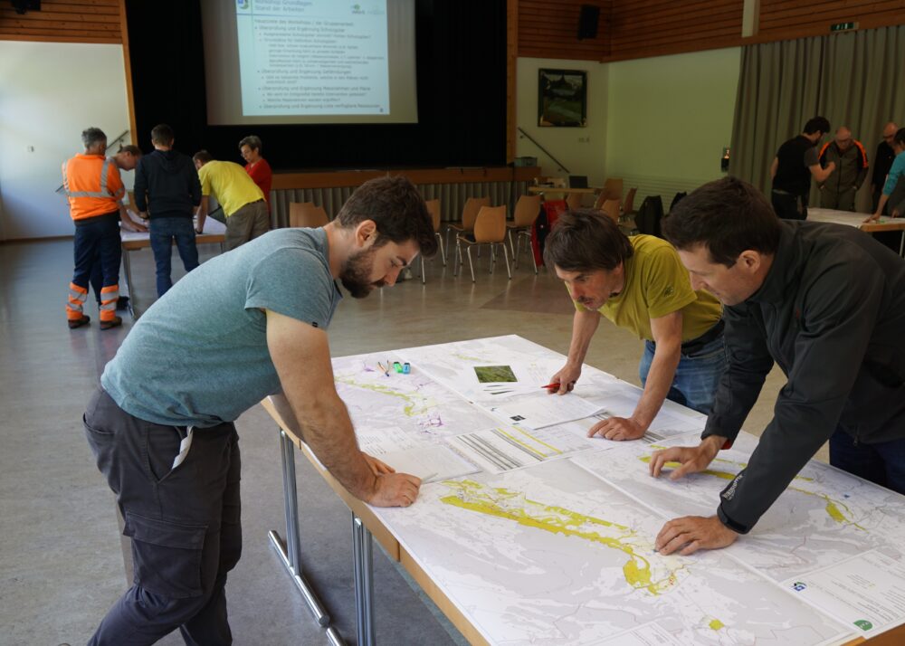 projectImage